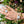Treasure Me Forever Bracelet