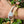 Treasure Me Forever Bracelet