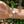 Artemis Moon Bracelet