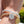 Phaistos Disk Bracelet