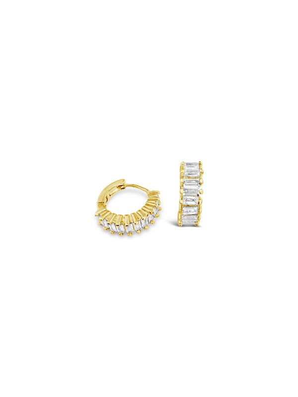 Exquisite Earrings
