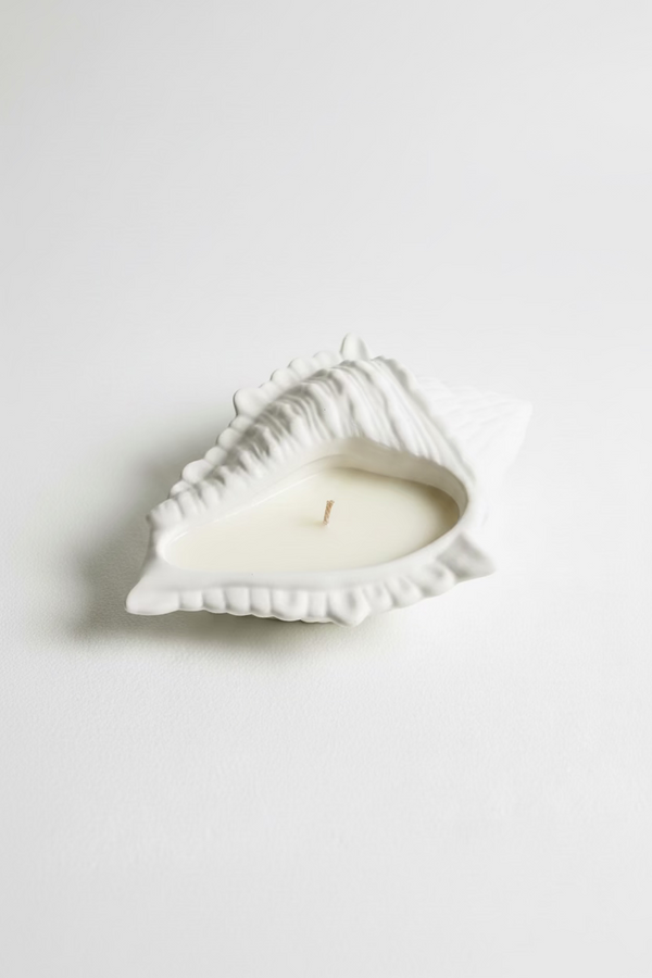 Shell Candle