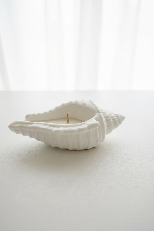 Shell Candle