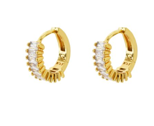 Exquisite Earrings