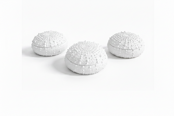 Urchin Candle