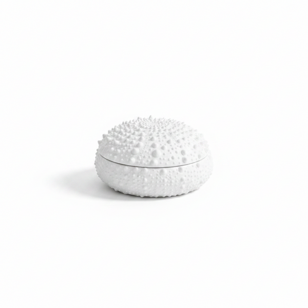 Urchin Candle