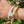 Treasure Me Forever Bracelet